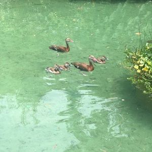 Meet your Posher, Chelsea